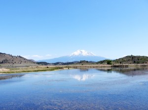 MountShasta20140531