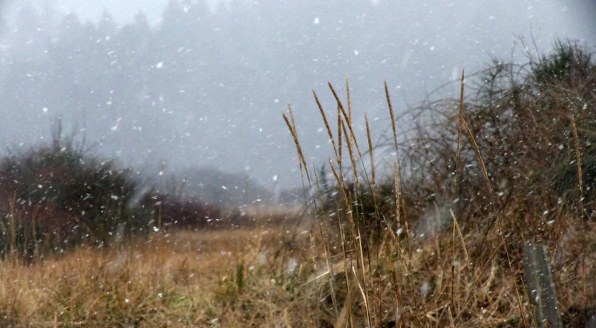 MarsnowSSpitfMar62017