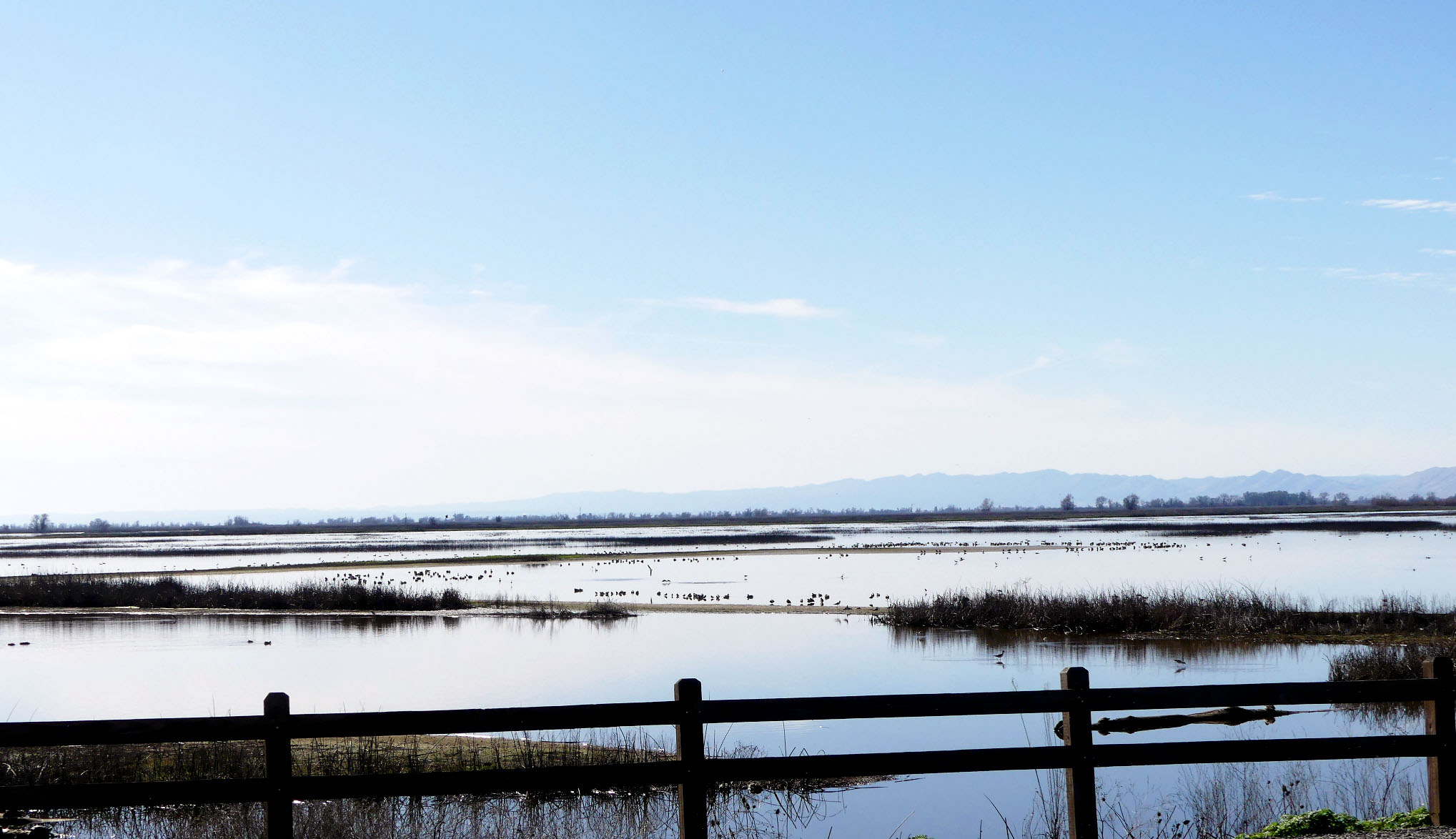 SacamentoWrefFeb2018